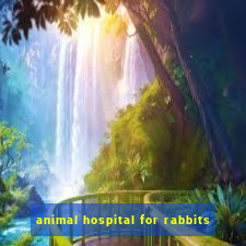 animal hospital for rabbits